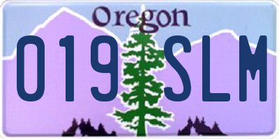 OR license plate 019SLM
