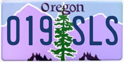 OR license plate 019SLS