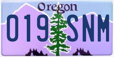 OR license plate 019SNM