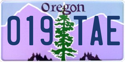 OR license plate 019TAE