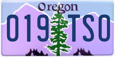 OR license plate 019TSO