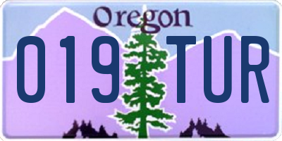 OR license plate 019TUR