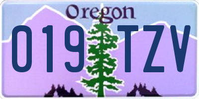 OR license plate 019TZV