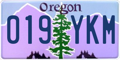 OR license plate 019YKM
