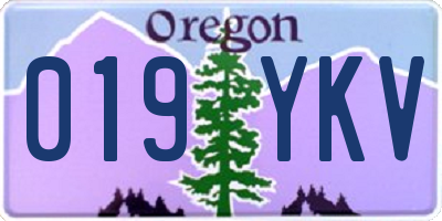 OR license plate 019YKV