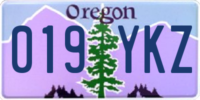 OR license plate 019YKZ