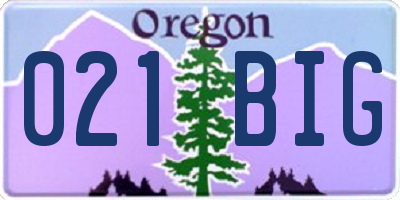 OR license plate 021BIG