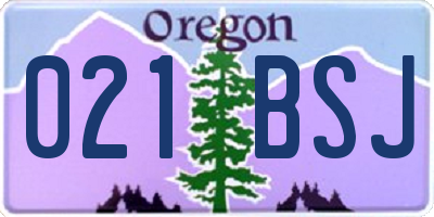 OR license plate 021BSJ