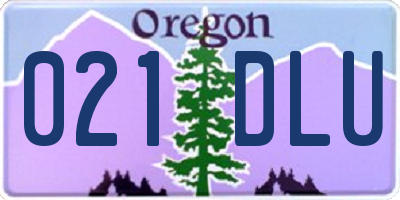 OR license plate 021DLU