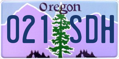 OR license plate 021SDH