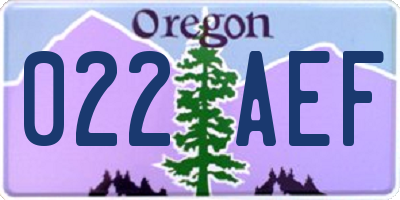 OR license plate 022AEF