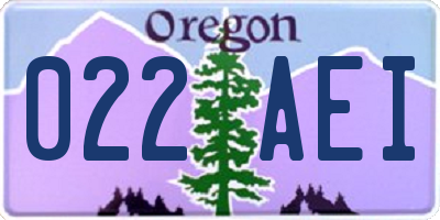 OR license plate 022AEI