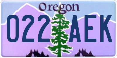 OR license plate 022AEK