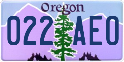 OR license plate 022AEO
