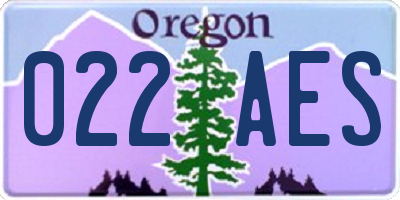 OR license plate 022AES