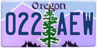 OR license plate 022AEW