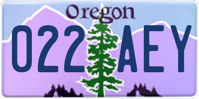 OR license plate 022AEY