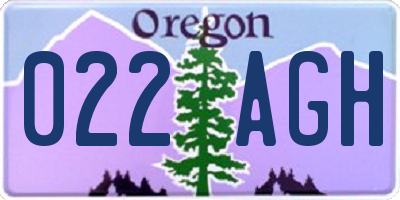 OR license plate 022AGH