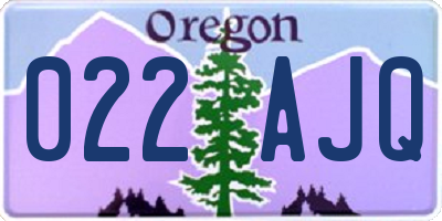OR license plate 022AJQ