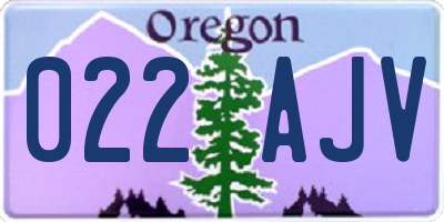 OR license plate 022AJV
