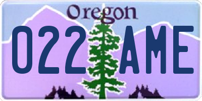 OR license plate 022AME