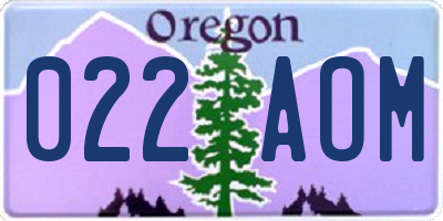 OR license plate 022AOM
