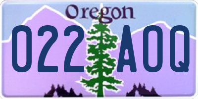 OR license plate 022AOQ