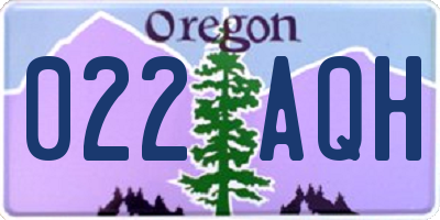 OR license plate 022AQH