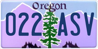 OR license plate 022ASV
