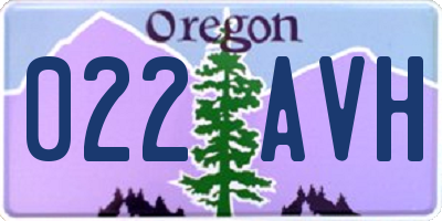 OR license plate 022AVH