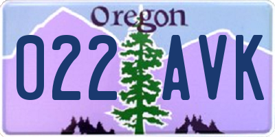 OR license plate 022AVK
