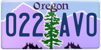 OR license plate 022AVO