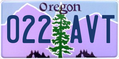 OR license plate 022AVT