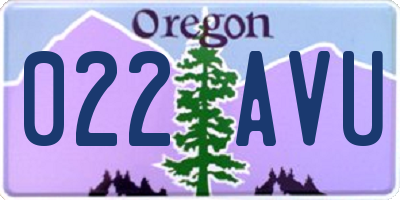 OR license plate 022AVU