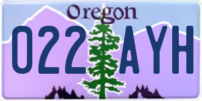 OR license plate 022AYH
