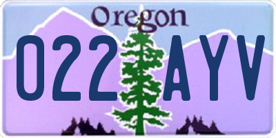 OR license plate 022AYV