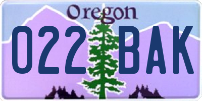 OR license plate 022BAK