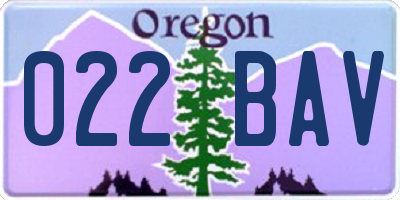 OR license plate 022BAV