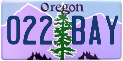 OR license plate 022BAY