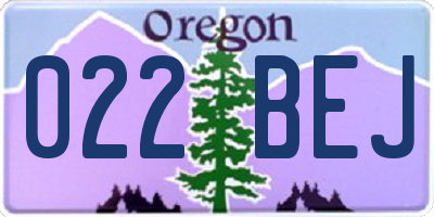 OR license plate 022BEJ