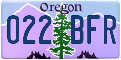 OR license plate 022BFR