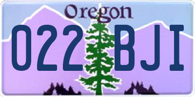 OR license plate 022BJI