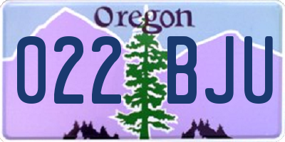 OR license plate 022BJU