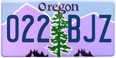 OR license plate 022BJZ