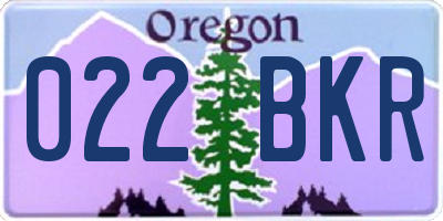 OR license plate 022BKR