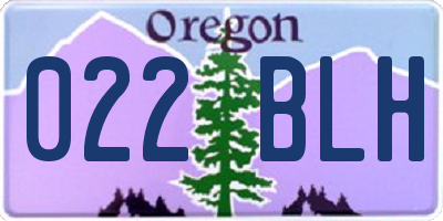 OR license plate 022BLH