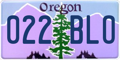 OR license plate 022BLO