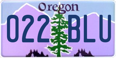 OR license plate 022BLU