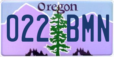 OR license plate 022BMN