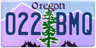 OR license plate 022BMQ